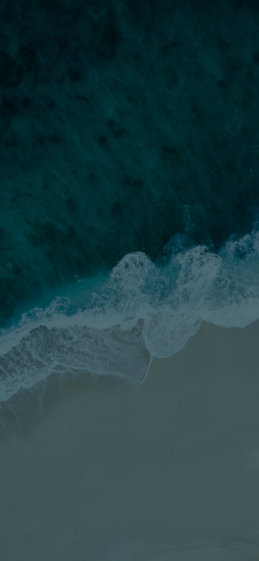 Description of Photo