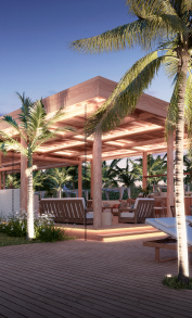 Description of Photo