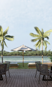 Description of Photo