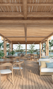 Description of Photo